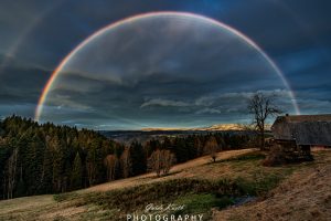Mehr über den Artikel erfahren Rainbow