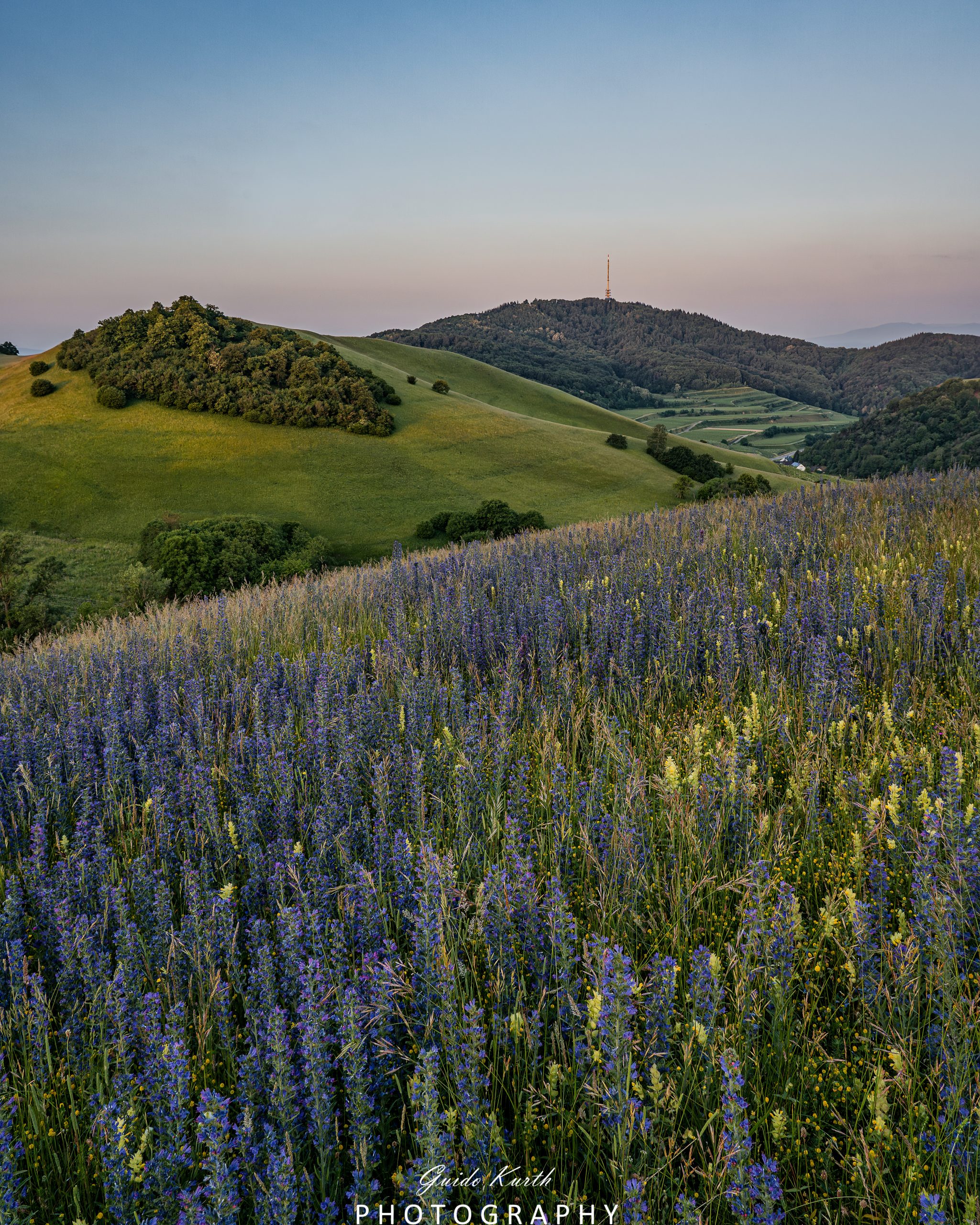 Du betrachtest gerade Schelingen