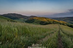 Mehr über den Artikel erfahren Schelingen