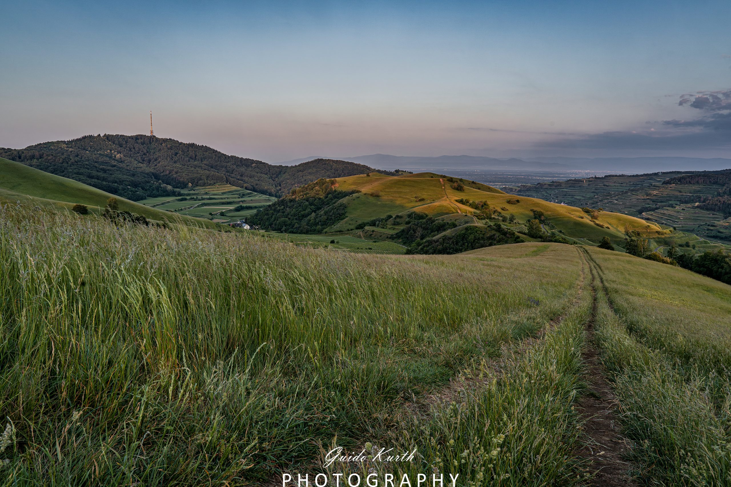 Mehr über den Artikel erfahren Schelingen