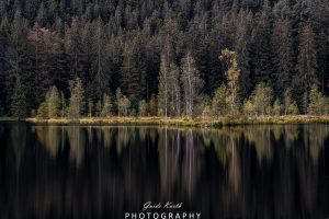 Mehr über den Artikel erfahren Karsee