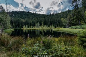 Mehr über den Artikel erfahren Karsee