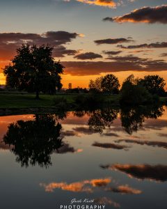 Mehr über den Artikel erfahren Spiegelung