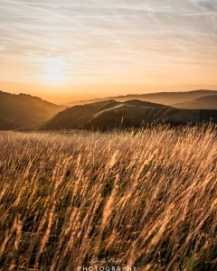 Mehr über den Artikel erfahren Badberg