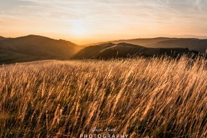 Mehr über den Artikel erfahren Badberg