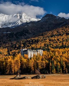 Mehr über den Artikel erfahren Engadin