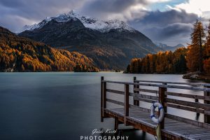 Mehr über den Artikel erfahren Engadin