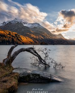 Mehr über den Artikel erfahren Engadin