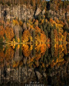 Mehr über den Artikel erfahren Feldsee Herbst