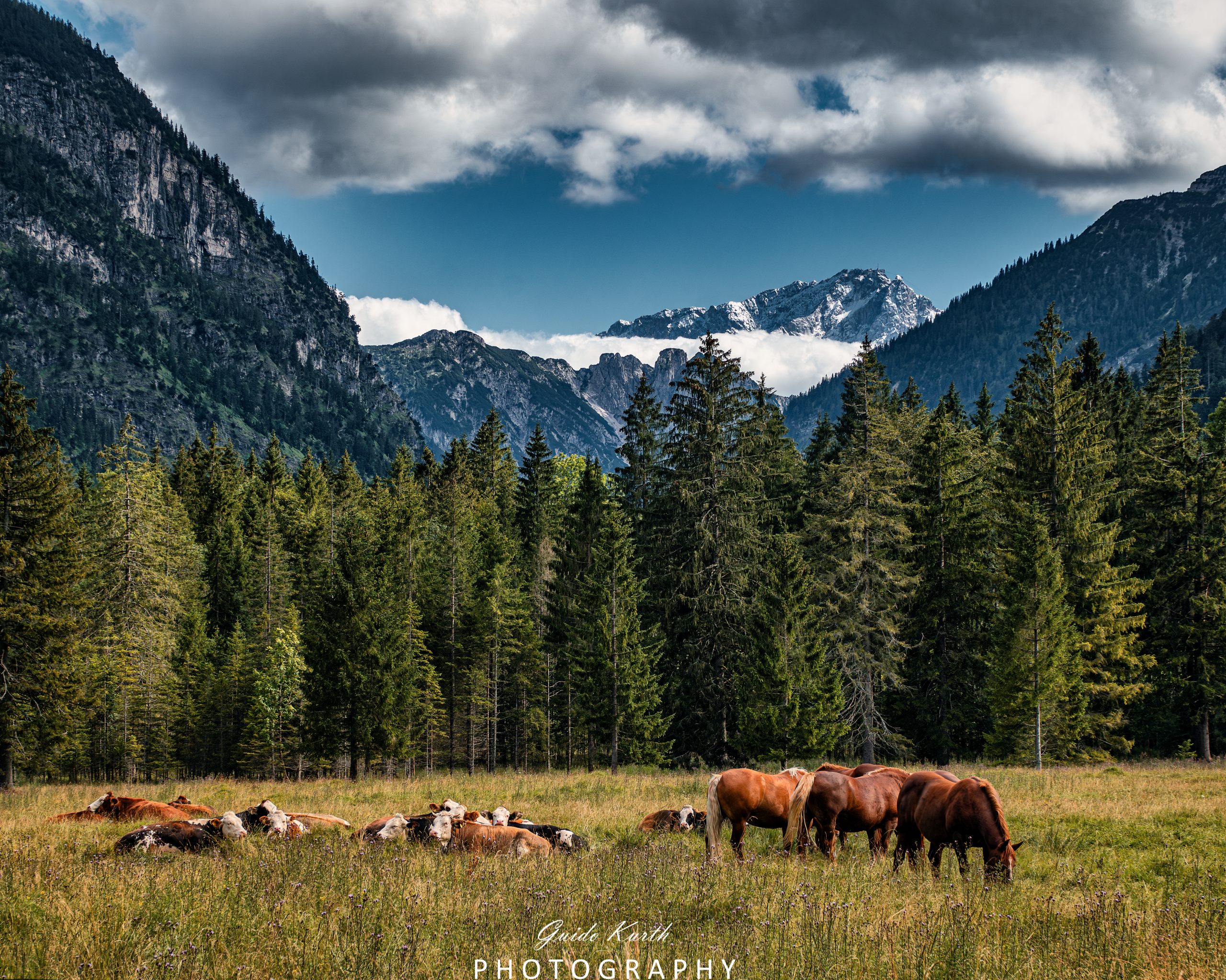 Mehr über den Artikel erfahren Blick zur Zugspitze