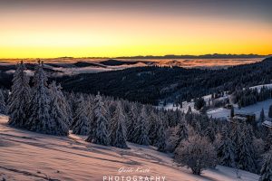 Mehr über den Artikel erfahren Feldberg Winter mit Nebel