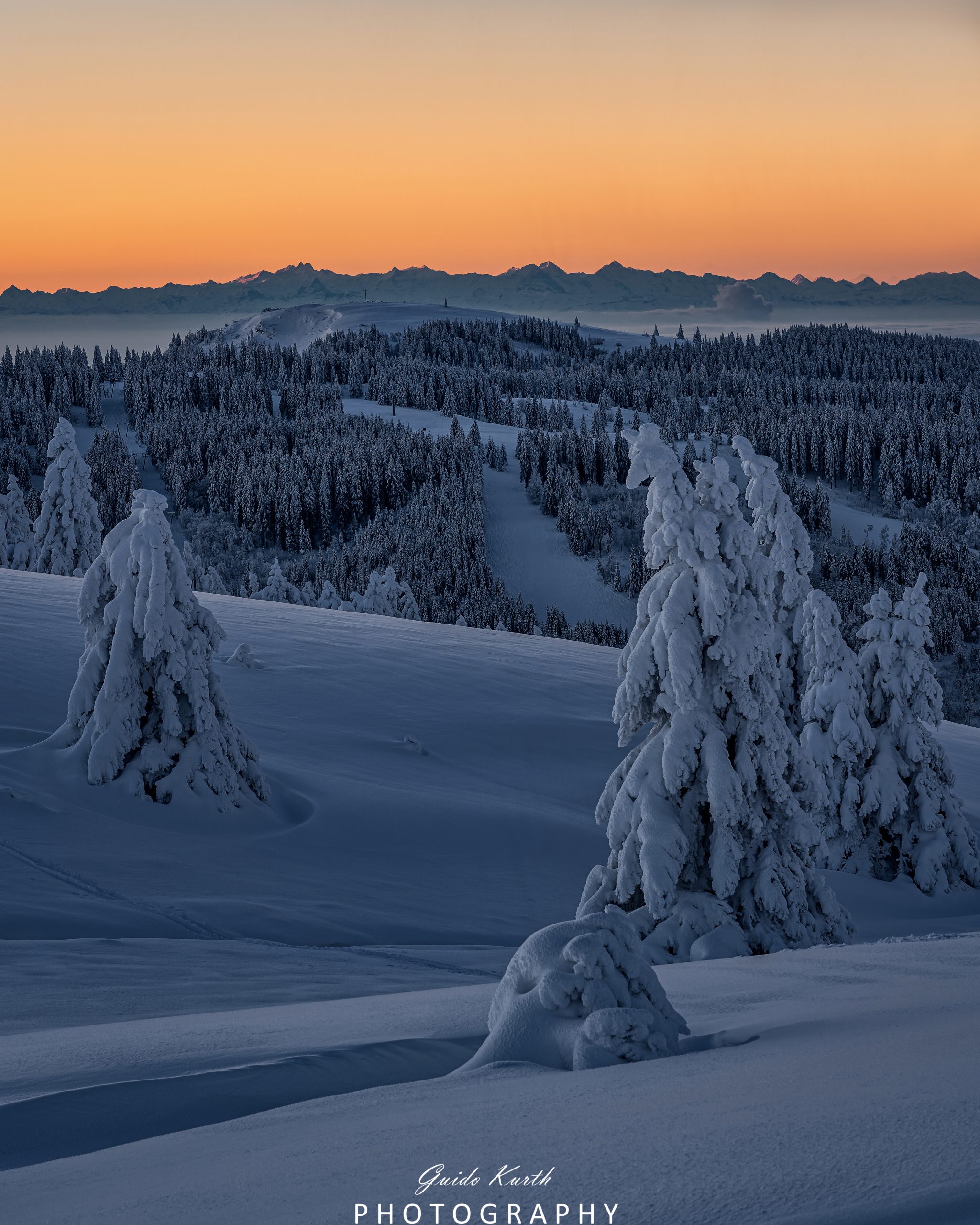 Du betrachtest gerade Feldberg Winter/Blick zum Herzogenhorn
