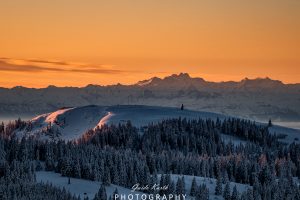 Mehr über den Artikel erfahren Herzogenhorn mit Alpensicht