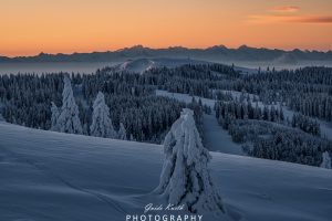 Mehr über den Artikel erfahren Feldberg Winter/Blick zum Herzogenhorn