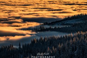 Mehr über den Artikel erfahren Feldberg mit Nebelmeer
