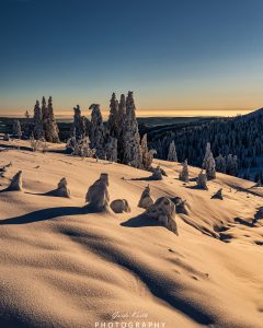 Mehr über den Artikel erfahren Feldberg Winter