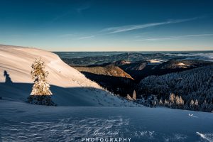 Mehr über den Artikel erfahren Blick Richtung Kandel