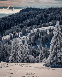 Mehr über den Artikel erfahren Feldberg Winter