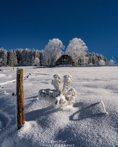 Mehr über den Artikel erfahren Winter im Schwarzwald