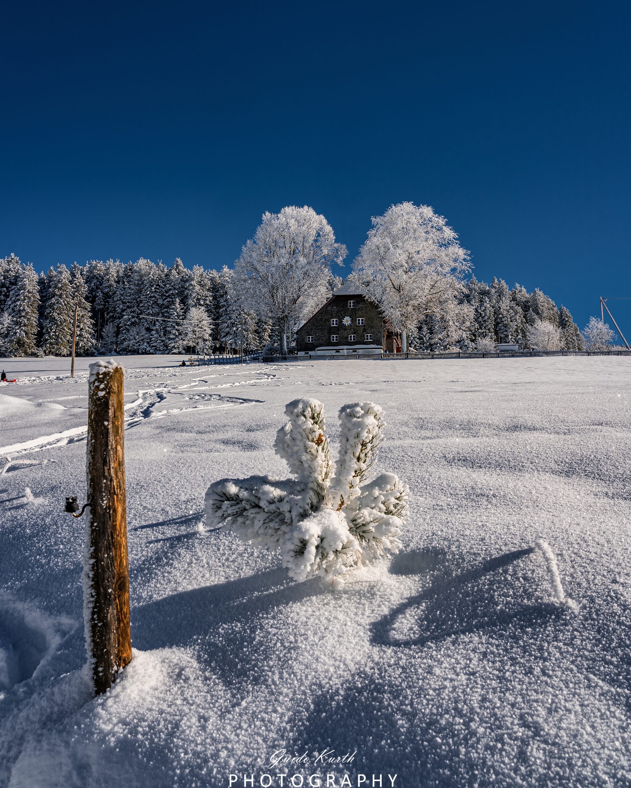Du betrachtest gerade Winter im Schwarzwald