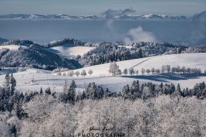 Mehr über den Artikel erfahren Winter im Schwarzwald