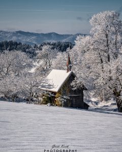 Mehr über den Artikel erfahren Winter im Schwarzwald
