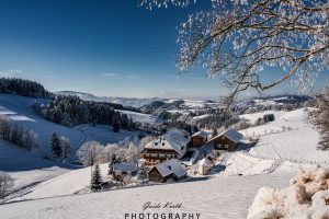 Mehr über den Artikel erfahren Winter im Schwarzwald