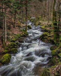 Mehr über den Artikel erfahren Wasserfälle Nordschwarzwald