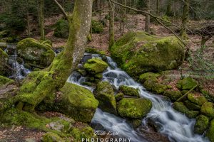 Mehr über den Artikel erfahren Wasserfälle Nordschwarzwald