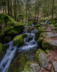 Mehr über den Artikel erfahren Wasserfälle Nordschwarzwald