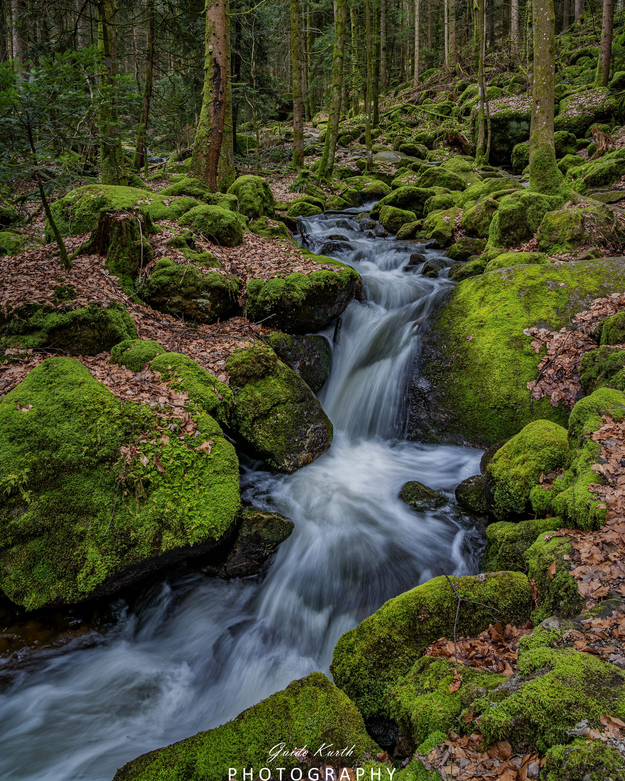 Du betrachtest gerade Wasserfälle Nordschwarzwald