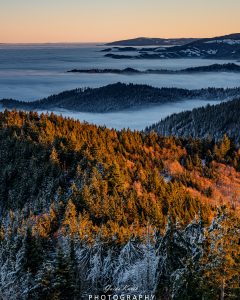 Mehr über den Artikel erfahren Inversionswetterlage Schwarzwald