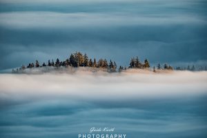 Mehr über den Artikel erfahren Inversionswetterlage Schwarzwald