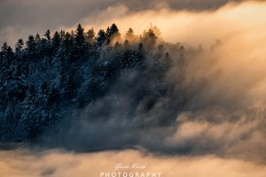 Mehr über den Artikel erfahren Inversionswetterlage Schwarzwald