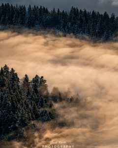 Mehr über den Artikel erfahren Inversionswetterlage Schwarzwald