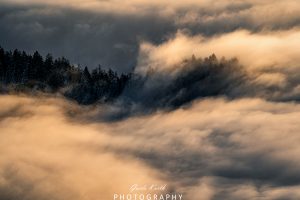 Mehr über den Artikel erfahren Inversionswetterlage Schwarzwald