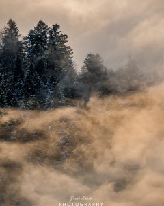 Mehr über den Artikel erfahren Inversionswetterlage Schwarzwald