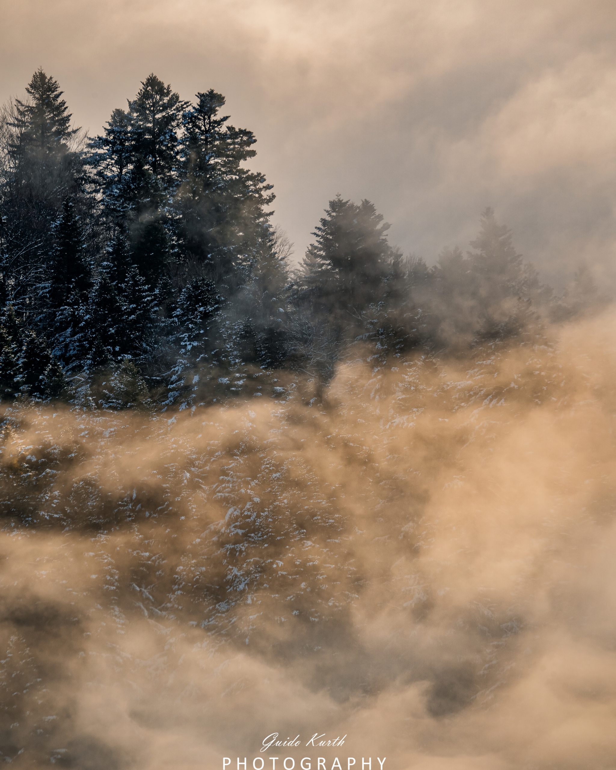 Du betrachtest gerade Inversionswetterlage Schwarzwald