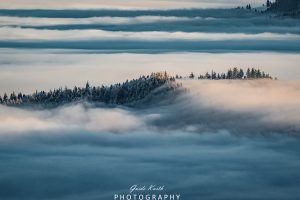 Mehr über den Artikel erfahren Inversionswetterlage Schwarzwald