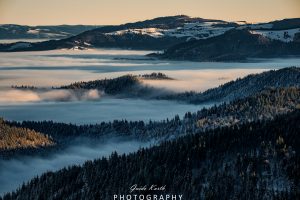 Mehr über den Artikel erfahren Inversionswetterlage Schwarzwald