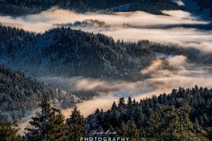 Mehr über den Artikel erfahren Inversionswetterlage Schwarzwald