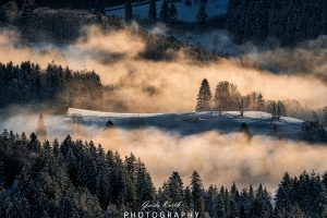 Mehr über den Artikel erfahren Inversionswetterlage Schwarzwald