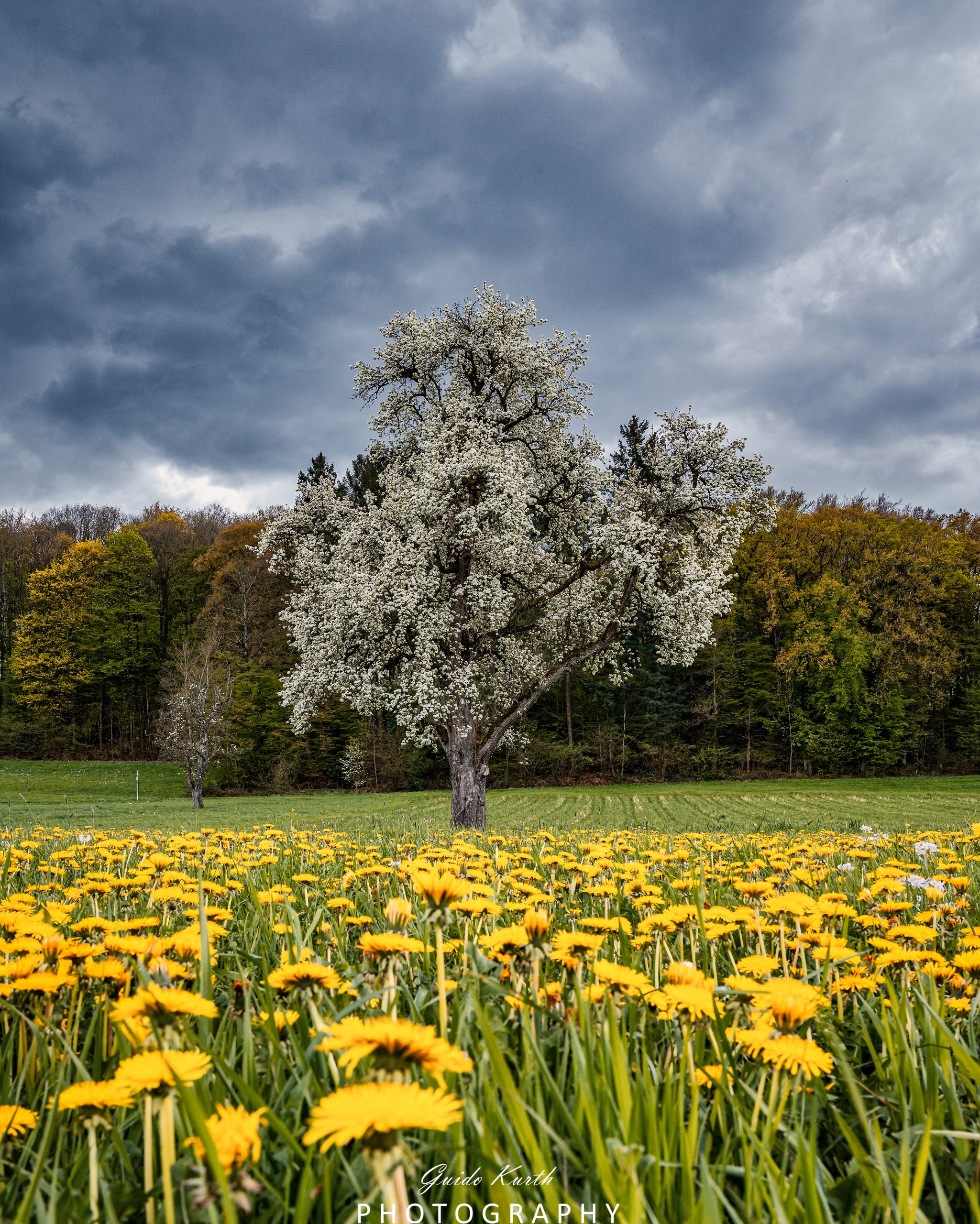 Du betrachtest gerade Frühlingserwachen…
