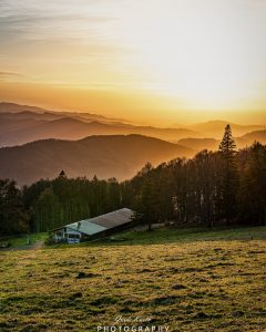 Mehr über den Artikel erfahren Kandel Abendstimmung