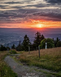 Mehr über den Artikel erfahren Kandel Sommerabend