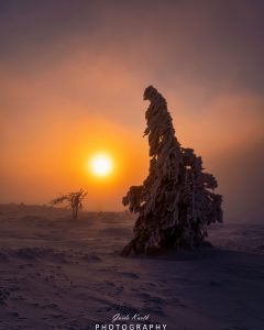Mehr über den Artikel erfahren Winter Sonnenaufgang Feldberg