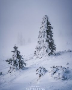 Mehr über den Artikel erfahren Moody Winter
