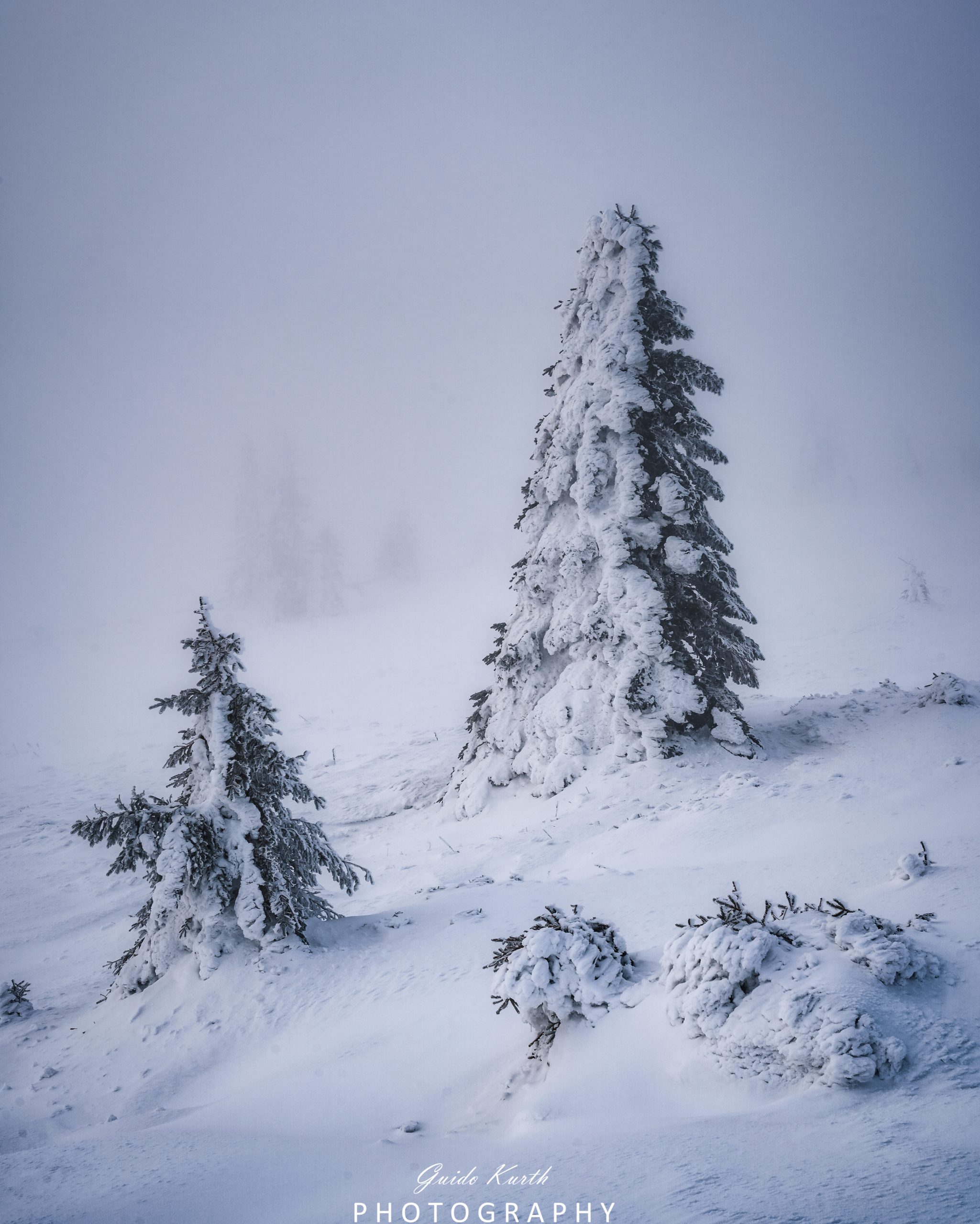 Du betrachtest gerade Moody Winter