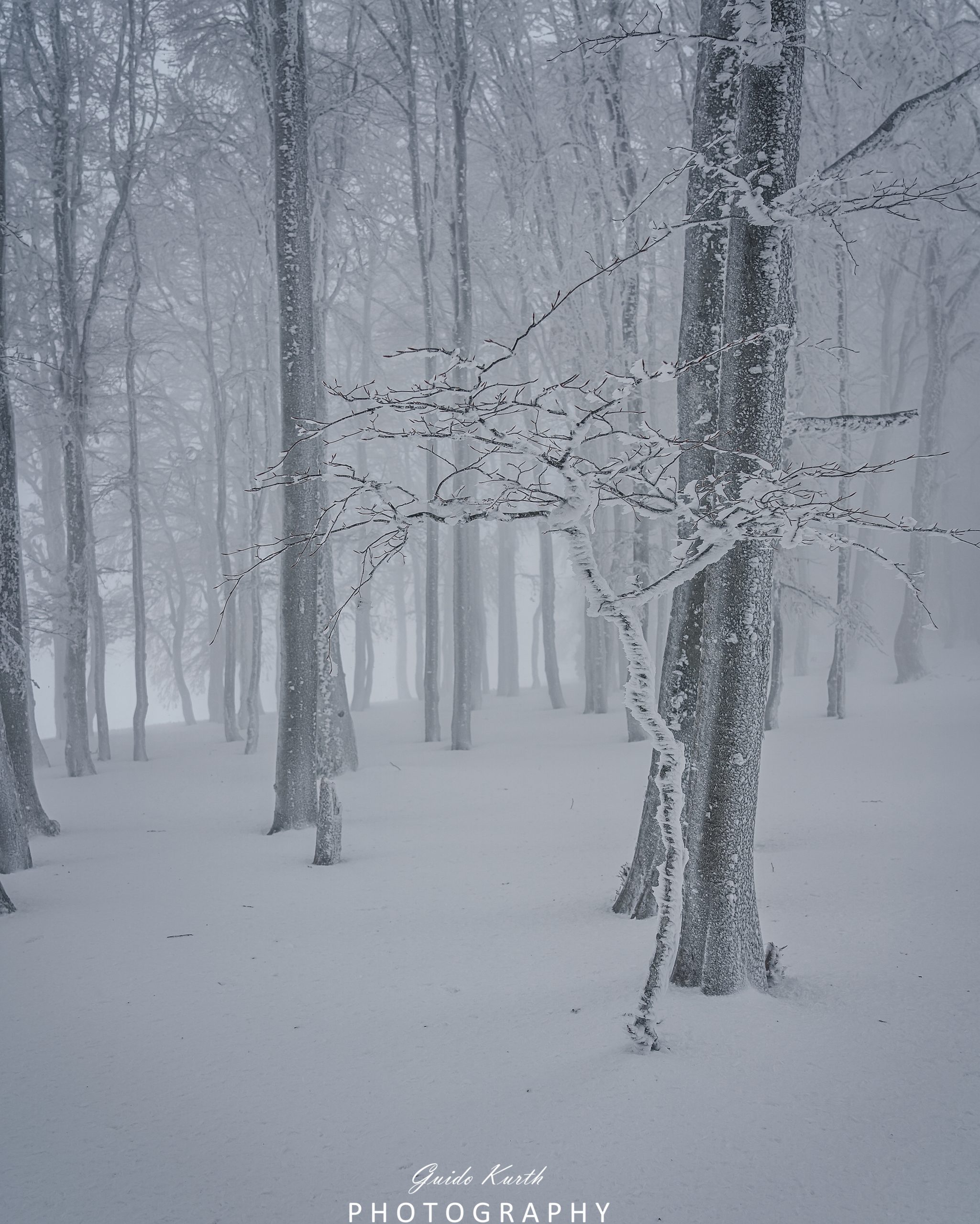 Du betrachtest gerade Kandel Winter