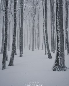 Mehr über den Artikel erfahren Kandel Winter